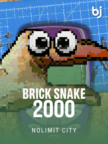 Brick Snake 2000 screenshot